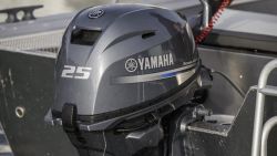 2017-Yamaha-F25-EU-NA-Detail-002